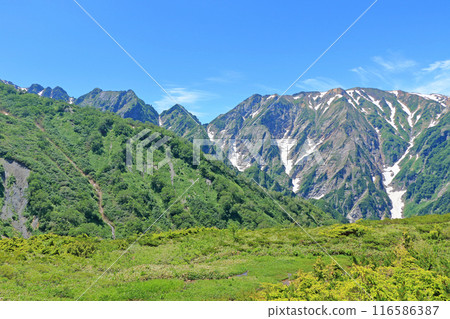 View of the Northern Alps in summer from Happo-one View of the Northern Alps in summer from Happo-one 116586387