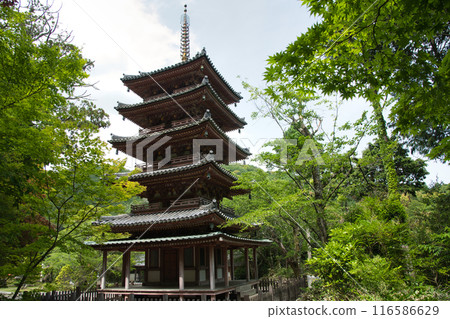 Kaijusenji Temple (Five-storied Pagoda) [Kamo Town, Kizugawa City, Kyoto Prefecture] 116586629