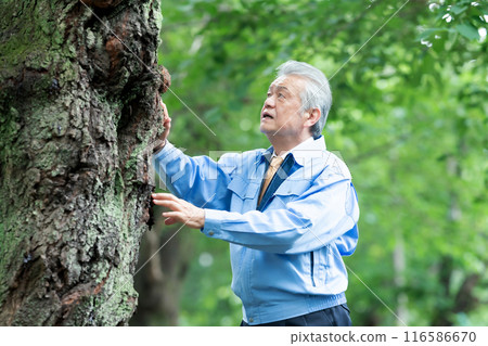 Tree doctor, man in work clothes 116586670