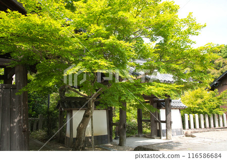 海十山寺（三門）[京都府木津川市加茂町] 116586684