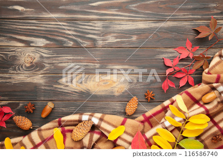 Thanksgiving or autumnal holiday background, top view, copy space. Autumnal holiday composition with leaves, star anise, cone and plaid on brown wooden background. 116586740