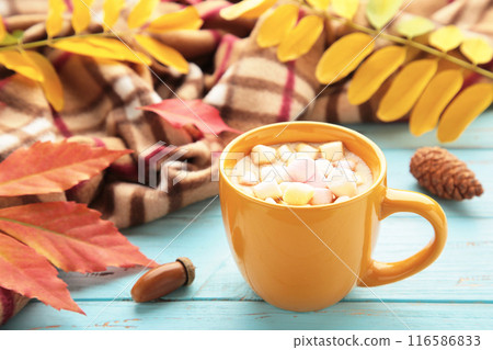 Hot chocolate and autumn leaves on plaid - seasonal relax concept Hot chocolate and autumn leaves on plaid - seasonal relax concept 116586833