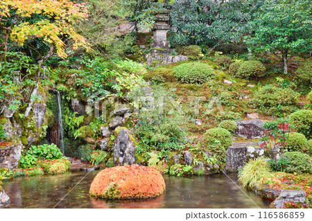 大原慈光院 紀志念 美麗的紅葉（京都市左京區） 116586859