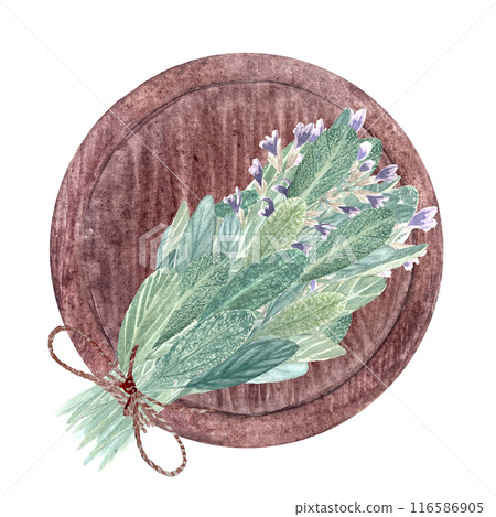 Sage bouquet tide with a jute string on a wooden tray isolated on white. Hand painted high quality composition in watercolor for cards, packages, essential oil, infusions, herbal tea, notebooks design 116586905