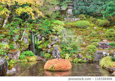 大原慈光院 紀志念 美麗的紅葉（京都市左京區） 116586906
