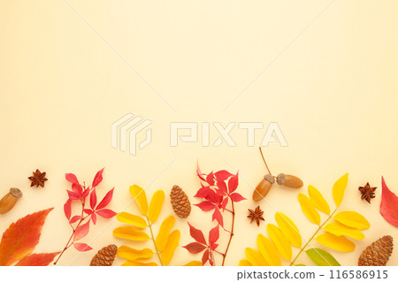 Thanksgiving or autumnal holiday background, top view, copy space. Autumnal holiday composition with leaves, star anise, cone on beige. 116586915