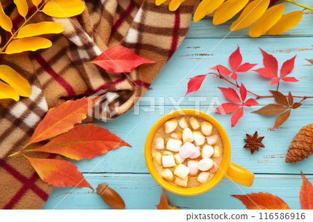 Hot chocolate and autumn leaves on plaid - seasonal relax concept 116586916