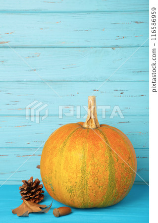 Autumn pumpkins with autumn harvest on blue wooden background 116586959