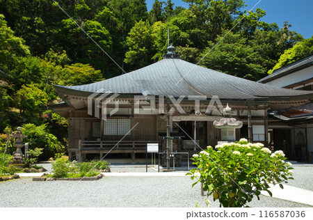 阿彌陀寺（正殿）【和歌山縣那智勝浦町】 116587036