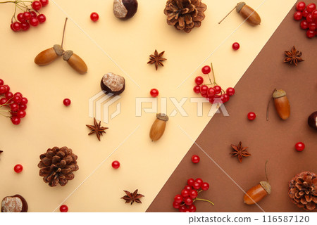 Autumn composition on brown. Pattern made of autumn leaves, acorn, pine cones. Flat lay, top view. Autumn composition on brown. Pattern made of autumn leaves, acorn, pine cones. Flat lay, top view. 116587120