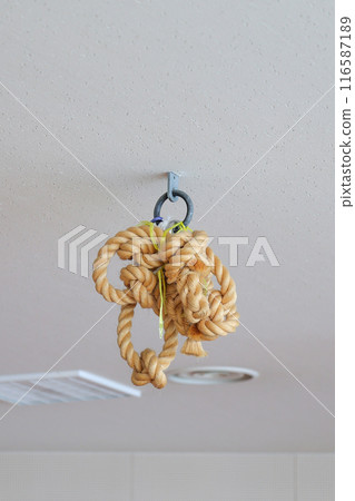 rope, gym, ceiling, physical education, physical fitness test, climbing, climbing rope, indoors, rope rope, gym, ceiling, physical education, physical fitness test, climbing, climbing rope, indoors, rope 116587189