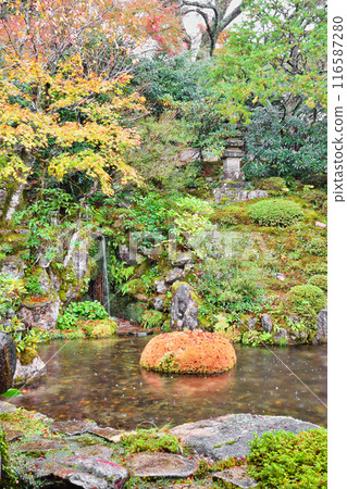 大原慈光院 紀志念 美麗的紅葉(京都市左京區) 大原慈光院 紀志念 美麗的紅葉(京都市左京區) 116587280