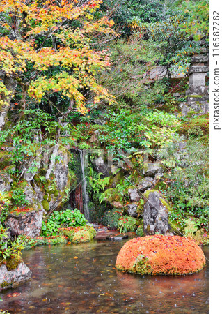 大原慈光院 紀志念 美麗的紅葉（京都市左京區） 116587282