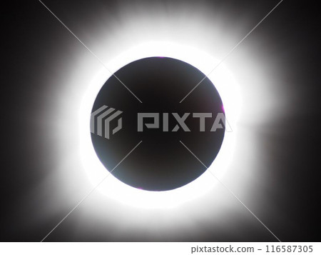 2024 年 4 月 8 日墨西哥科羅納日全食 116587305