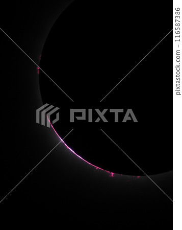 April 8, 2024 Total Solar Eclipse in Mexico - Prominences and Chromosphere during the Total Eclipse 116587386
