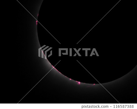 2024 年 4 月 8 日墨西哥日全食日全食期間的日珥和色球層 116587388