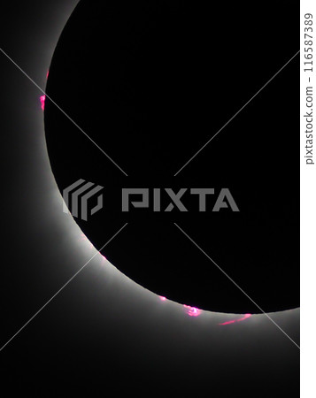 2024 年 4 月 8 日墨西哥日全食日全食期間的日珥和色球層 116587389