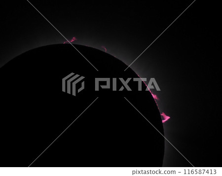 April 8, 2024 Total Solar Eclipse in Mexico - Prominences and Chromosphere during the Total Eclipse 116587413