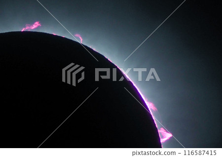 April 8, 2024 Total Solar Eclipse in Mexico - Prominences and Chromosphere during the Total Eclipse 116587415