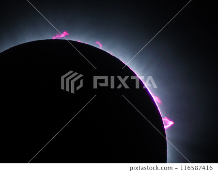 April 8, 2024 Total Solar Eclipse in Mexico - Prominences and Chromosphere during the Total Eclipse April 8, 2024 Total Solar Eclipse in Mexico - Prominences and Chromosphere during the Total Eclipse 116587416