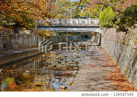 Midori Bridge at Shukugawa Park in Autumn, Nishinomiya City, Hyogo Prefecture 116587595