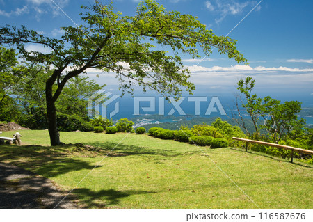 阿彌陀寺（三晴台/月見原）[和歌山縣那智勝浦町] 116587676