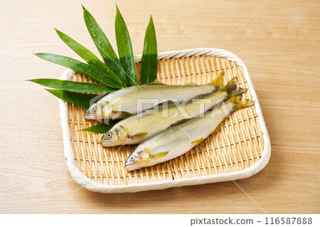 Ayu fish on a bamboo sieve 116587888