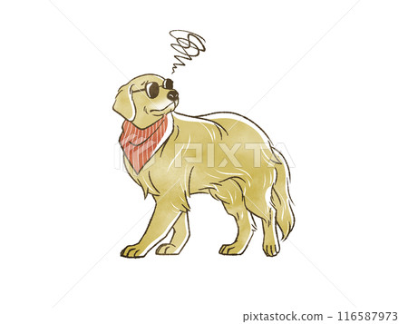 Golden retriever wearing sunglasses looking confused Golden retriever wearing sunglasses looking confused 116587973