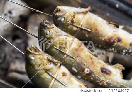 用木炭烤香魚 116588097