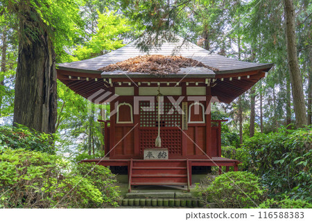 久米寺美登子神社(奈良縣橛原市久米町) 久米寺美登子神社(奈良縣橛原市久米町) 116588383