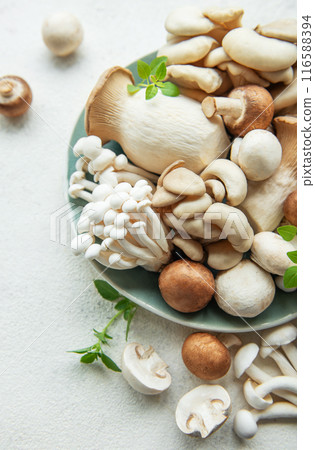 Assortment of various raw mushrooms on gray concrete background. 116588394