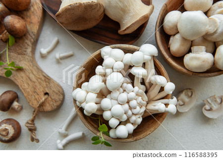 Assortment of various raw mushrooms on gray concrete background. Assortment of various raw mushrooms on gray concrete background. 116588395