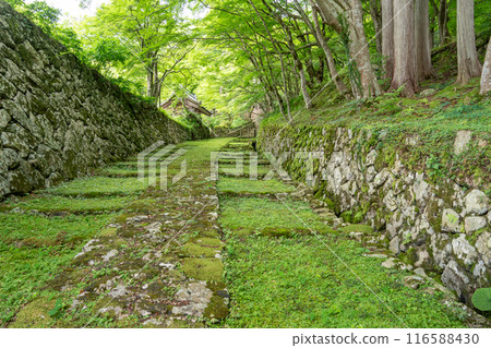 Higashiomi City, Shiga Prefecture: Beautiful greenery at the front gate of Baekje Temple and moss-covered stone steps Higashiomi City, Shiga Prefecture: Beautiful greenery at the front gate of Baekje Temple and moss-covered stone steps 116588430