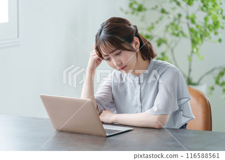 Businesswoman working on a computer in the office (female, casual business) Businesswoman working on a computer in the office (female, casual business) 116588561