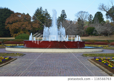 茨城縣植物園 2023-11-28 #5 茨城縣植物園 2023-11-28 #5 116588763