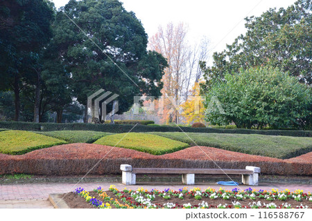 茨城縣植物園 2023-11-28 #7 116588767