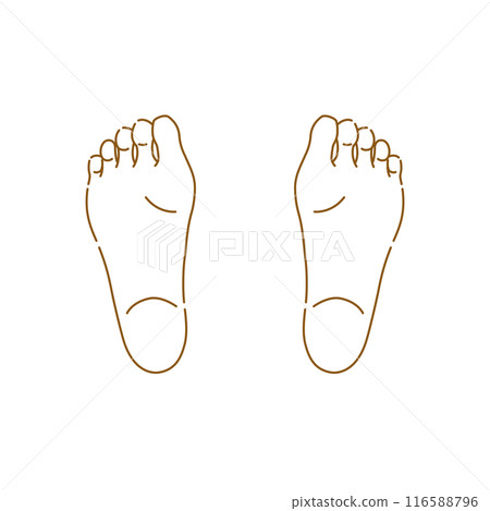 Female feet: illustration of soles of feet (both feet) 116588796