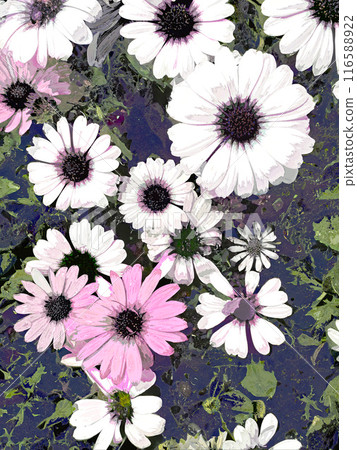 Margaret 116588922