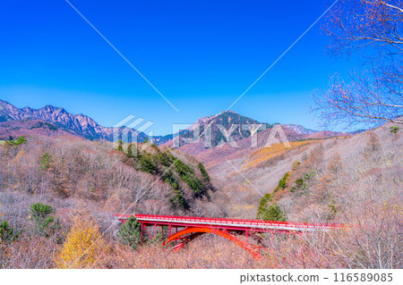 [秋天素材]深秋的東澤橋和八岳，藍天[山梨縣] 116589085