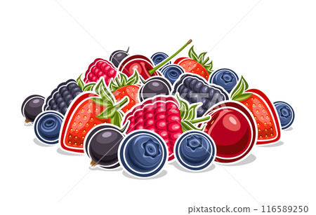 Vector Berry Pile 116589250