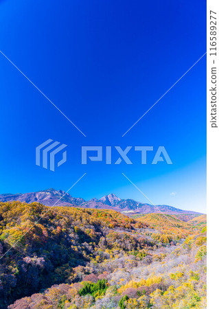 [Autumn material] Yatsugatake and blue sky during the autumn leaves season seen from Yatsugatake Ohashi Bridge [Yamanashi Prefecture] 116589277
