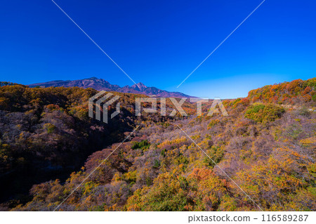 [秋天素材]從八嶽大橋看到的紅葉季節的八岳和藍天[山梨縣] 116589287