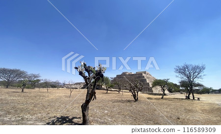 墨西哥金字塔 116589309