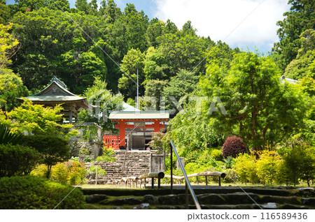 Amidaji Temple (Kumano Otorii Gate, Bell Tower, Approach) [Nachikatsuura Town, Wakayama Prefecture] 116589436