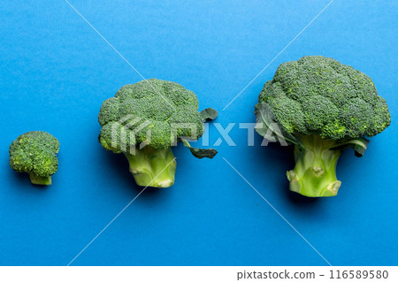 green fresh broccoli background close up on colored table. Vegetables for diet and healthy eating. Organic food green fresh broccoli background close up on colored table. Vegetables for diet and healthy eating. Organic food 116589580