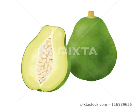 青木瓜 一個半 青木瓜 一個半 116589636