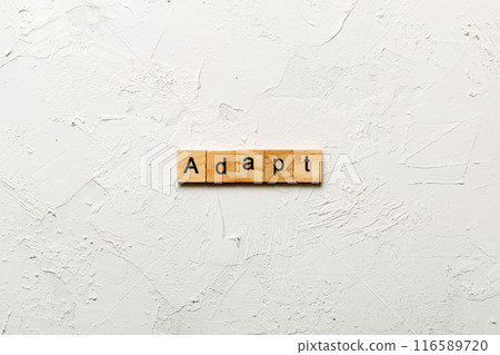 ADAPT word written on wood block. ADAPT text on cement table for your desing, concept ADAPT word written on wood block. ADAPT text on cement table for your desing, concept 116589720