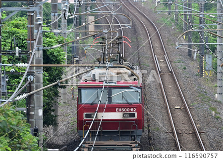 電力機車EH500有力拉動東北幹線 電力機車EH500有力拉動東北幹線 116590757