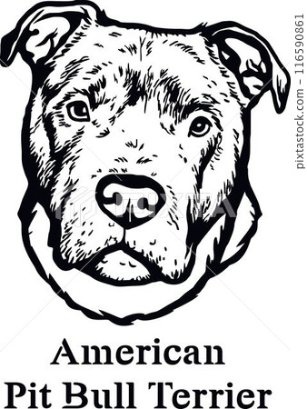 American Pit Bull Terrier - Funny Dog, Vector File, Cut Stencil for Tshirt American Pit Bull Terrier - Funny Dog, Vector File, Cut Stencil for Tshirt 116590861