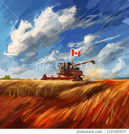 the combine harvester harvests wheat in the field with flag of Canada the combine harvester harvests wheat in the field with flag of Canada 116590937